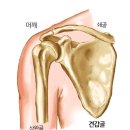 DGYM 헬스&PT 이미지