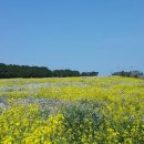 성읍리-24 이미지