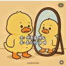 이장백돈가스/치킨이즈백 | 나의 일상 기록 (08.15 ~ 08.31)