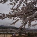 봉황산공원 이미지