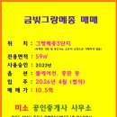 버스정류장(금산초앞) 이미지