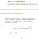 Re: 말초신경 포착 --＞ Neuropraxia, axonotmesis, neurotmesis 관점의 회복 이미지