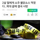 2살 딸에게 소주·불닭소스 먹였다…학대 끝에 결국 사망 이미지