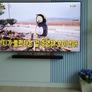 EBS Kids 채널 자이언트펭TV 재방 이미지