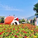 외간초등학교 | 거제섬 꽃축제 주차장 관람시간 야간개장 입장료 섬꽃투어 공연(ft. 은가은)