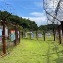 강원도디엠제트박물관 이미지