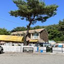 퍼피코지애견온수수영장펜션
