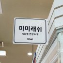 미미래쉬 - 동구 | 미미래쉬