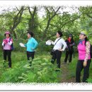 구불4길(구슬뫼길) 이미지