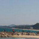 화진포 푸른펜션 이미지