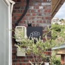 스테이 파랑 이미지