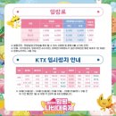 오복슈퍼 앞 | 전남 함평 | '2026년 전남 함평 나비 대축제' 실시간 후기!!!! | 주차장·먹거리·웨이팅 총정리