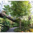 무주곤충박물관 이미지