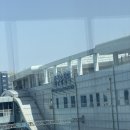 소풍 | 그냥 커리어우먼(4월 데일리룩, 출근룩, 벚꽃, 소풍, 무신사 메가스토어)