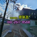 법인다사