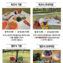 그날의피크닉