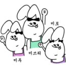 남양장 이미지