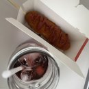 포항유치원 급식소 | 내 맘 같지 않던 맘들