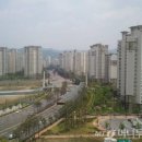덕선이네