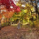 미소길탐방쉼터 이미지