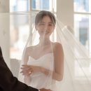 모먼트위