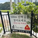 포천 베이커리카페 숲속의 제빵소 리얼후기.