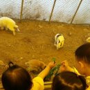 건우목장 이미지