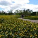 봉화산 민박 이미지