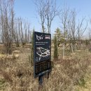 계양경기장-서운체육공원 | 산책 꽃구경하기 좋은 | 계양 꽃마루 | 계양 경기장 서운 체육공원 벚꽃놀이 반려견 놀이터