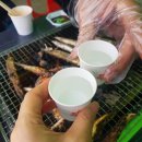 양미리와 도루묵, 그리고 까나리 이미지