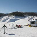 휘닉스파크 이미지