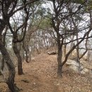 우두산길 이미지