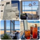 모노섬 | [고성 모노섬카페] 자작도해수욕장 반려견 동반 카페 | 고성 오션뷰 카페