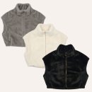 페르시안 캣 이미지