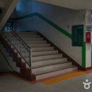 서울특별시립서울청소년수련관 이미지