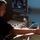 로엘심장혈관흉부외과의원 이미지