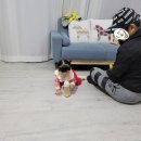 원데이그라피가을숲 이미지