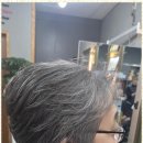 헤어본 네이버블로그