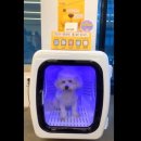 주식회사 하이독 네이버블로그