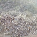 정윤농장 이미지