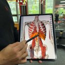 리 펑셔널 퍼스널 트레이닝 이미지