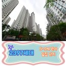 링키영어답십리영어교습소