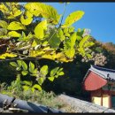 상주 옥동서원 이미지