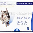 혁신중앙약국 이미지