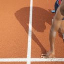 명지명가 이미지