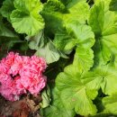 옹골농장 이미지