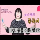 보라쌤의 중국어 교실 1강~3강 (강복자선생님) 이미지