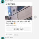 불불(Bull X 2)