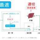 병용농장 | 자가 생산 조사료는 성분의 편차가 크다 - 일본 노사이 수의사칼럼