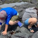 남원읍-59 이미지